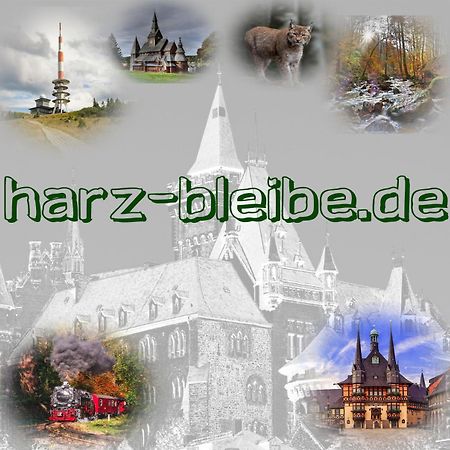 Harz-Bleibe Wernigerode Daire Dış mekan fotoğraf